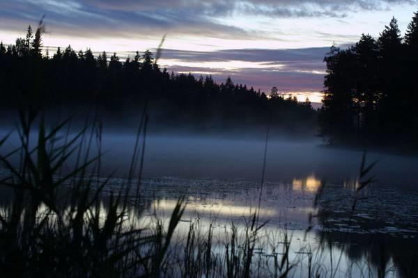 Harkaniemi Cottages Mikkeli Chambre photo